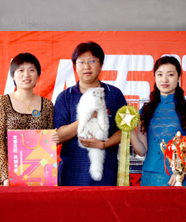 2006年参加北京CAA名猫展