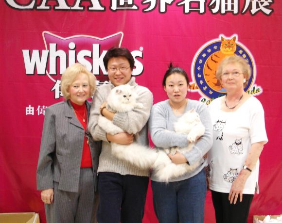 2003年北京参加美国ACFA/CAA名猫展